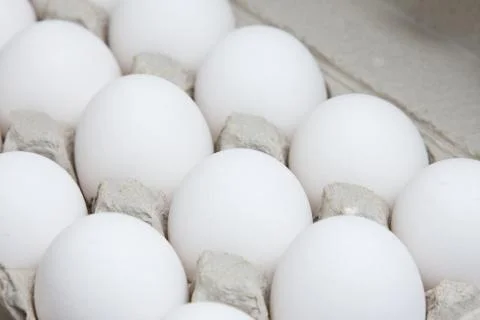 Carton of eggs Stock Photos