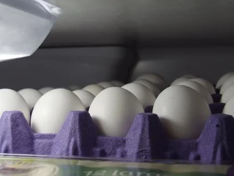Carton of eggs Stock Photos