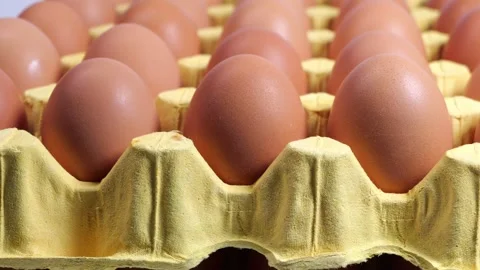 A carton of fresh free range eggs on a white background. 스톡 동영상 286349461