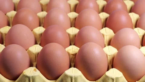 A carton of fresh free range eggs on a white background. Stock-Footage 286351604