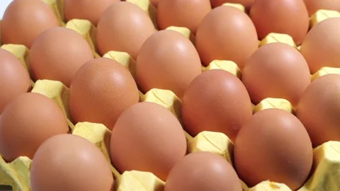 A carton of fresh free range eggs on a white background. Stock-Footage 286351616
