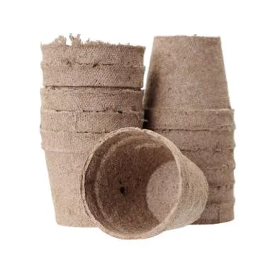 Carton vase Stock Photos