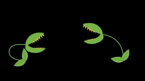 Cartoon 2 Venus Fly Traps Fighting in Alpha Channel Stock Footage 86834041