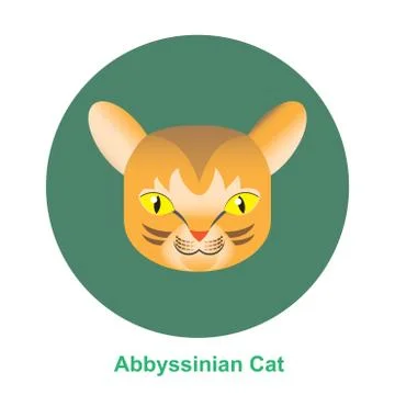Cartoon Abbyssinian Cat in Circle Vector Illustration Stock Illustration