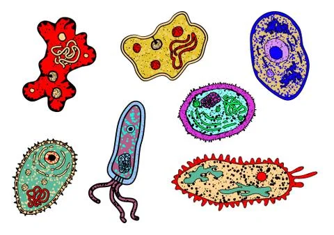 Cartoon ameba or microbial lifeforms 스톡 일러스트
