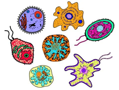 Cartoon amebas, germs or microbial lifeforms Illustrazione stock