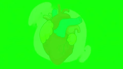 Cartoon anatomical human heart beating on chroma key background Stock Footage 341907304