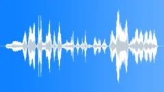 Cartoon angry male preaching Sound Effect
