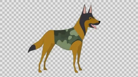 Cartoon Animated Dog Stock Footage 56724925