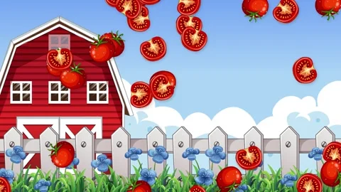 Cartoon Animation of Fresh Tomatoes Falling Over a Red Farm Barn Stock Footage 339754545