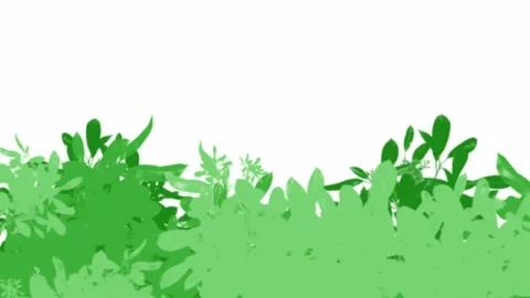 Cartoon animation of moving grass or bushes on a white background Stock Footage 306282215