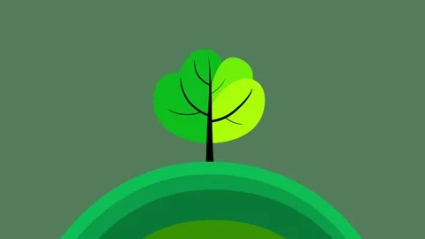 Cartoon animation of simple green tree growing on mountain isolated Stock Footage 334631312