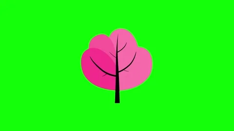 Cartoon animation of simple pink tree growing greenbox Stock Footage 334125053