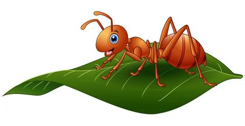 Cartoon ant on the leaf Stock Illustration