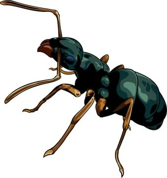 Cartoon ant worker Illustrazione stock