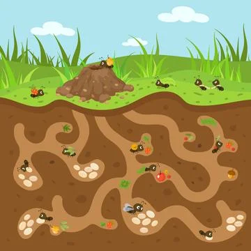 Cartoon anthill illustration. Cute tiny ants working and moving. Forest or Illustrazione stock