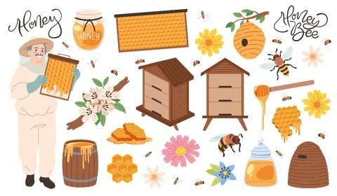Cartoon apiary elements. Funny beekeeper with honeycombs, bees, beehives, and Stock Illustration