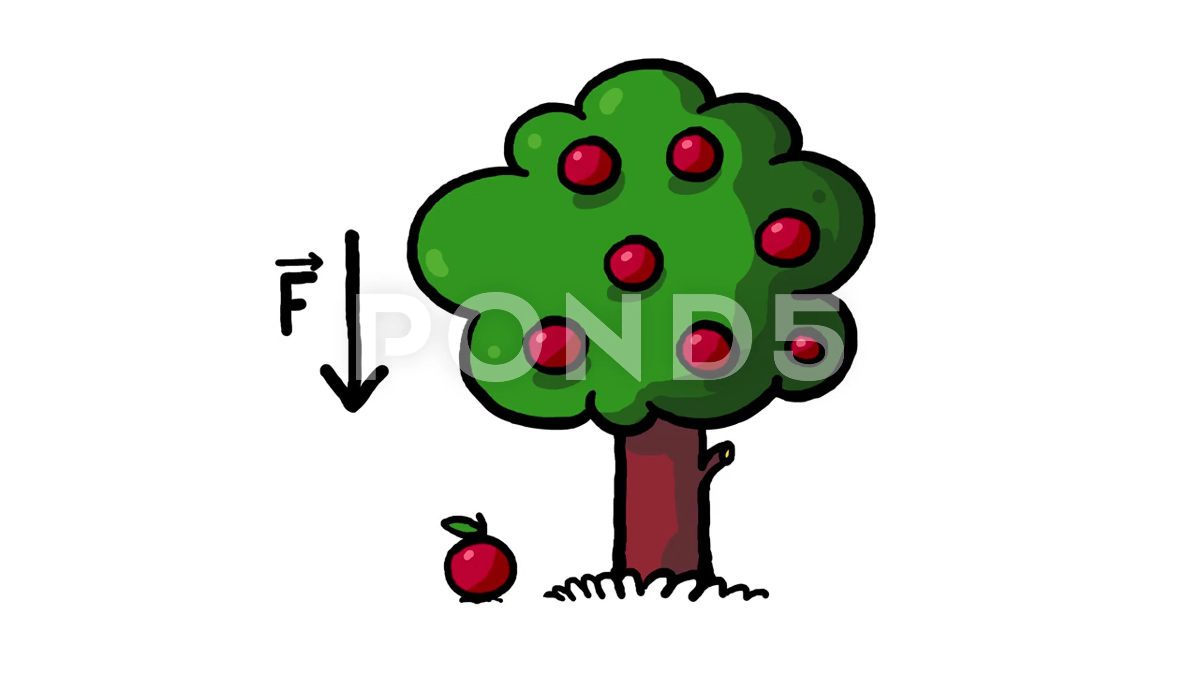 apple falling from tree clipart