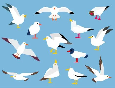 Cartoon atlantic seabird. Stock Illustration