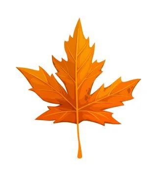 Cartoon autumn blaze maple leaf vector icon Stock Illustration
