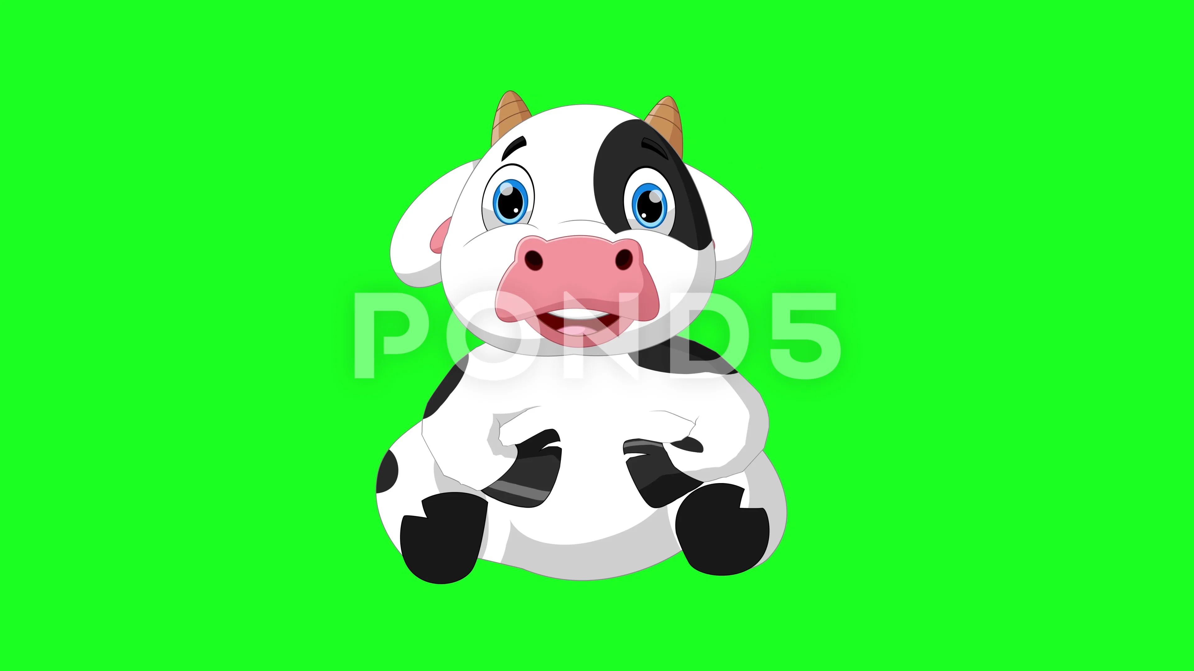 cow cartoon video