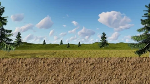 CARTOON BACKGROUND   FOREST Stock Footage 72436505