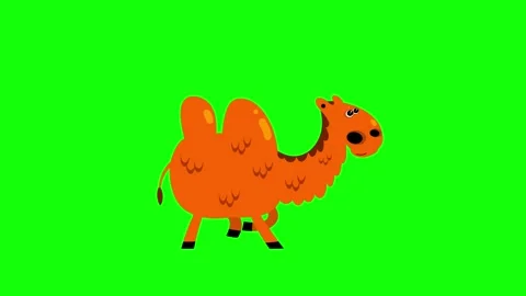 Cartoon bactrian camel flat design children animation green screen Stock Footage 247101108