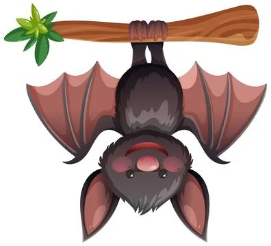 Cartoon Bat Hanging Upside Down from Tree Branch Stock Illustration