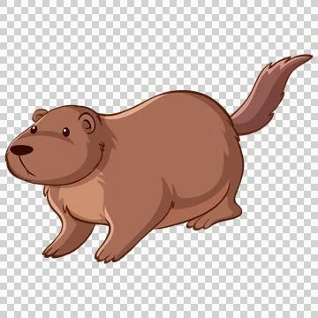 Cartoon Beaver Walking Isolated Ilustración de archivo
