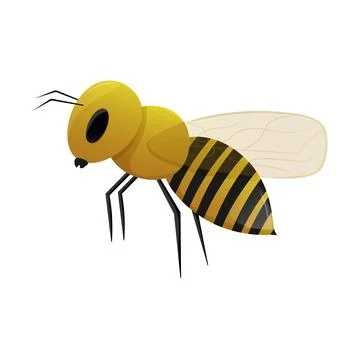 Cartoon bee icon 库存插图