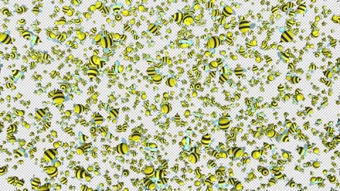 Cartoon bees - 3d render looped with alpha channel. Stock Footage 167508088