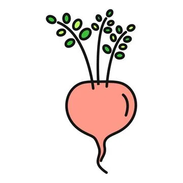 Cartoon beetroot root vegetable with green leaves Stock Illustration