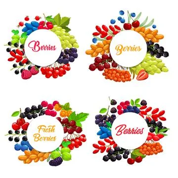 Cartoon berries vector round frames or banners set Stock Illustration