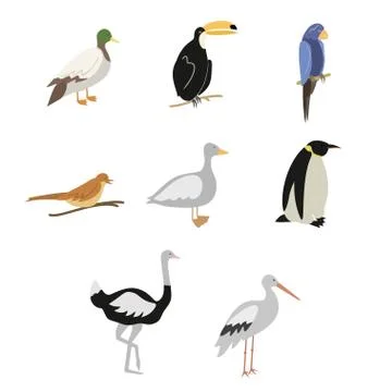 Cartoon birds vector set Stock Illustration