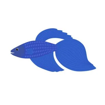 Cartoon blue betta fish, siamese fighting fish, betta splendens Stock Illustration