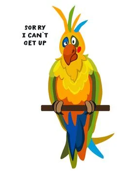 Cartoon blue macaw vector isolated 스톡 일러스트