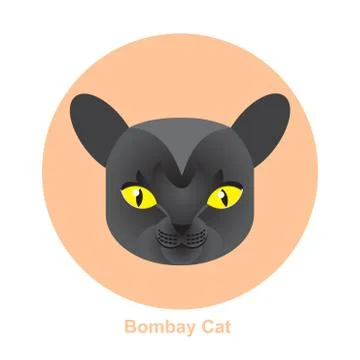 Cartoon Bombay Cat in Circle Vector Illustration Stock Illustration
