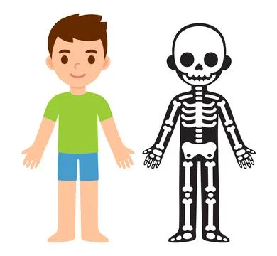 Cartoon boy skeleton Stock Illustration