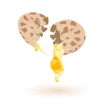 Cartoon broken chicken eggshell Stock Illustration
