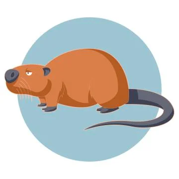 Cartoon brown nutria Stock Illustration
