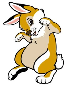 Cartoon  bunny Stock Illustration