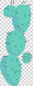 Cartoon cactus is floating on transparent background in flat design with teal Stock Illustration