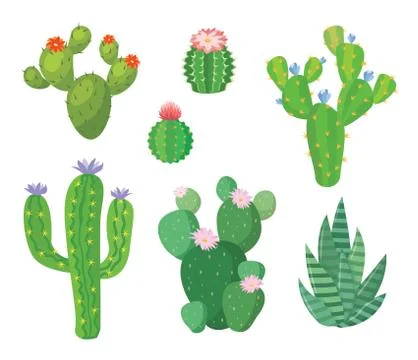 Cartoon cactus set. Vector set of bright cacti and aloe. Stock Illustration