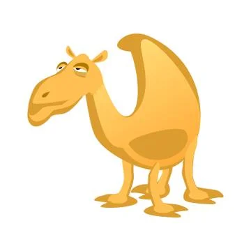 Cartoon camel isolated on a white background. Stock Illustration