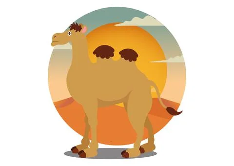 Cartoon camel isolated on white background.Vector illustration 스톡 일러스트