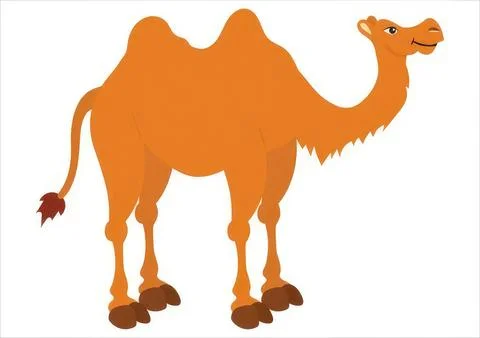 Cartoon camel standing on a plain background Stock Illustration