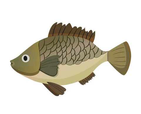 Cartoon carp fish Stock Illustration