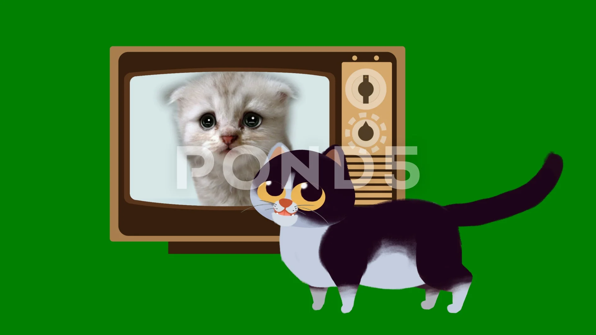 Animated Cartoon Cat Green Screen Stock Footage Royalty Free Stock Videos Pond5