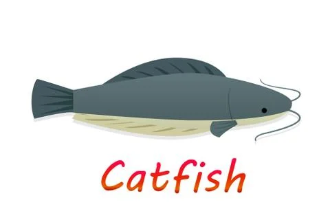 Cartoon catfish in flat style, vector Stock Illustration
