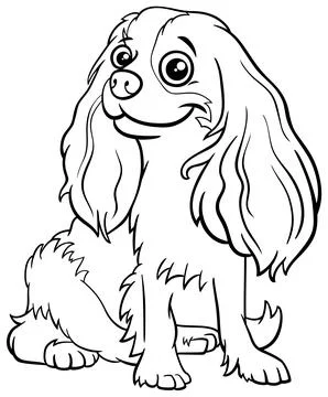 Cartoon Cavalier King Charles Spaniel purebred dog coloring book page Stock Illustration